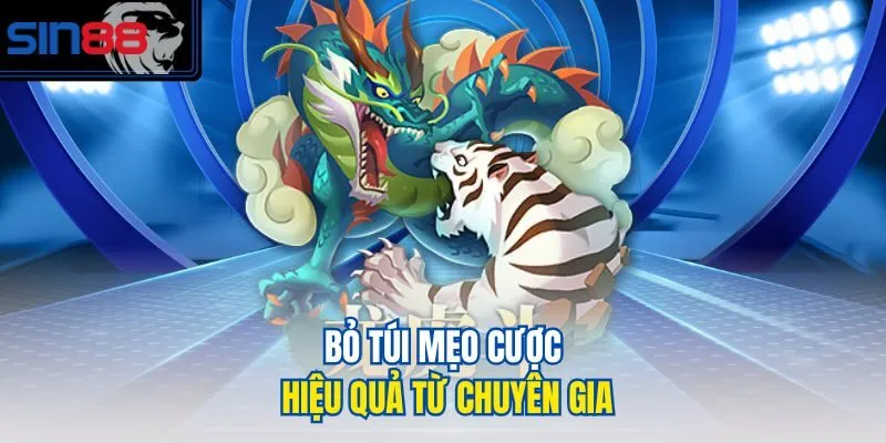 Bỏ túi mẹo cược hiệu quả từ chuyên gia