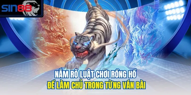 Nắm rõ luật chơi Rồng Hổ để làm chủ trong từng ván bài