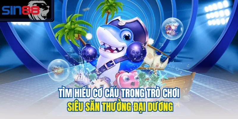Tìm hiểu cơ cấu trong trò chơi siêu săn thưởng đại dương